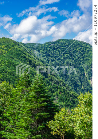 静岡県の日本百名山塩見岳登山　本谷山から見る三伏峠小屋 110972254