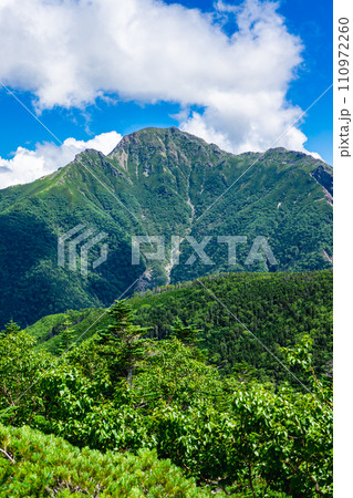 静岡県の日本百名山塩見岳登山 三伏山から見る塩見岳 静岡県の日本百名山塩見岳登山 三伏山から見る塩見岳 110972260