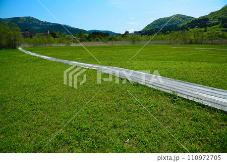 新緑の箱根湿生花園 110972705