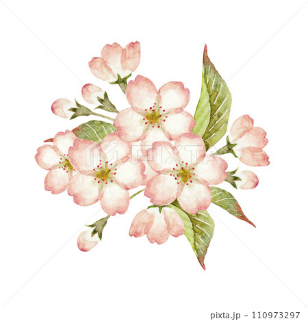 山桜 桜 挿絵 水彩 イラスト 山桜 桜 挿絵 水彩 イラスト 110973297