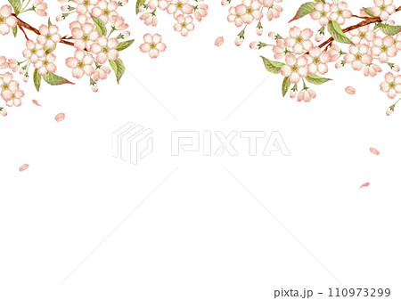 山桜 桜　背景 フレーム　水彩 イラスト 110973299