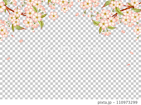 山桜 桜　背景 フレーム　水彩 イラスト 110973299