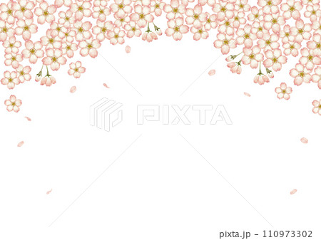 山桜 桜　背景 フレーム　水彩 イラスト 110973302