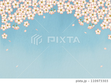 山桜 桜 青空　背景 フレーム　水彩 イラスト 110973303