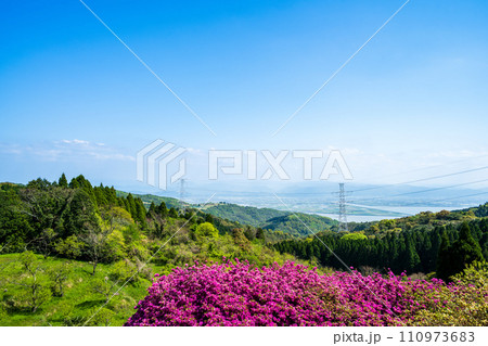春と初夏の兆しを感じさせる絶景ツツジ畑パノラマ風景「宇城市不知火町」丸目庭園 110973683