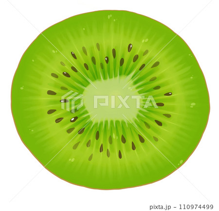 緑のキウイフルーツの断面のイラスト素材 [110974499] - PIXTA