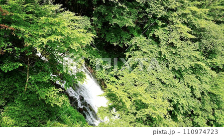 栃木県日光市の涅槃の滝 栃木県日光市の涅槃の滝 110974723