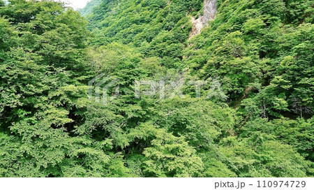 栃木県日光市の華厳ノ滝の反対側の渓谷 110974729