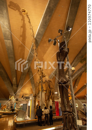 群馬県立自然史博物館 110974770