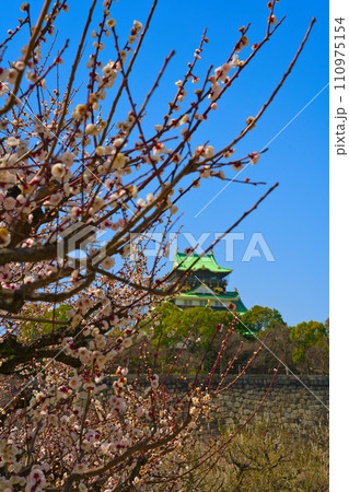 【大阪府】3月・大阪城と満開の梅林公園 【大阪府】3月・大阪城と満開の梅林公園 110975154