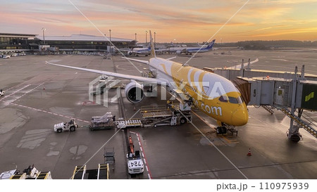 朝焼けに染まるscootの飛行機B787 110975939