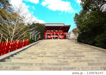 鶴岡八幡宮の石段 鶴岡八幡宮の石段 110976247