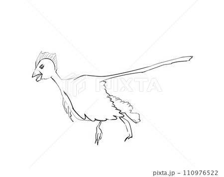 始祖鳥またはアンキオルニス 110976522