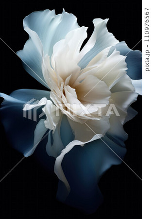 Gentle blue background with peony petals. Beautiful flower close up. 110976567