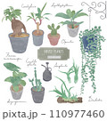 観葉植物 110977460