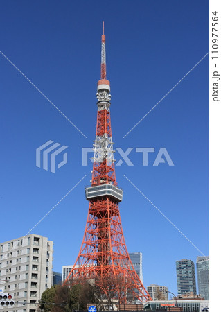 東京タワー　青空にそびえる東京タワー 110977564