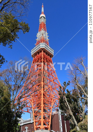 東京タワー　青空にそびえる東京タワー 110977567