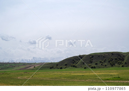 green meadow in spring against the background of mountains with cloudy sky green meadow in spring against the background of mountains with cloudy sky 110977865