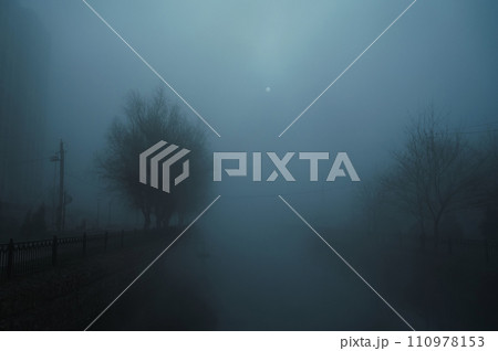 foggy landscape with a river and trees on an alley in the city on an autumn evening in fog mist 110978153