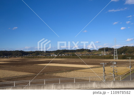 Vast green landscape with blue sky and animal wildlife Nov 30 2023 110978582
