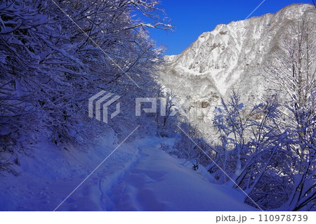 冬季妙高山の積雪した燕温泉登山道の林道 冬季妙高山の積雪した燕温泉登山道の林道 110978739
