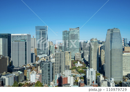 panoramic view of Tokyo, Japan 110979729