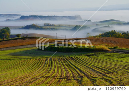 千望峠からの 千望峠からの 110979760