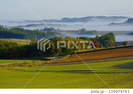 千望峠からの 千望峠からの 110979761