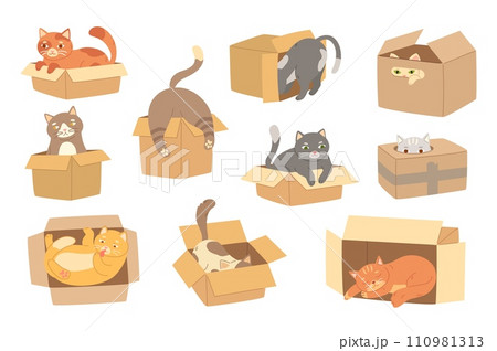 Cartoon cats in cardboard box. Felines play with boxes, adopt kittens and funny packed cats vector illustration set 110981313