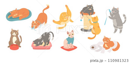 Funny domestic cats. Cute felines, kitten in litter box and playful cat stretching, sleeping and eating. Cartoon vector illustration set 110981323