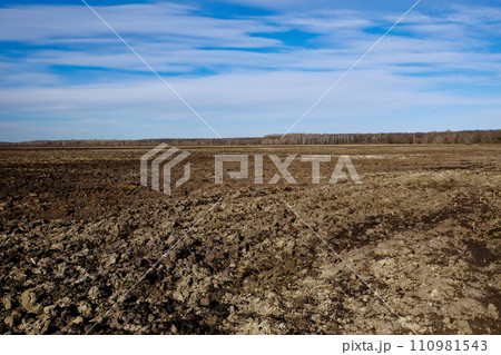 The field is freshly plowed and the sky is bright. 110981543