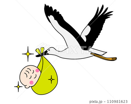 赤ちゃんを運ぶコウノトリ 110981623