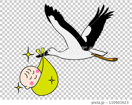 赤ちゃんを運ぶコウノトリ 110981623