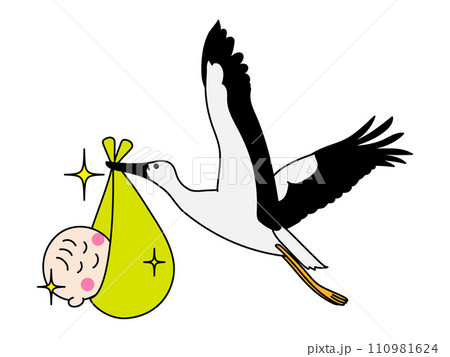 赤ちゃんを運ぶコウノトリ 110981624