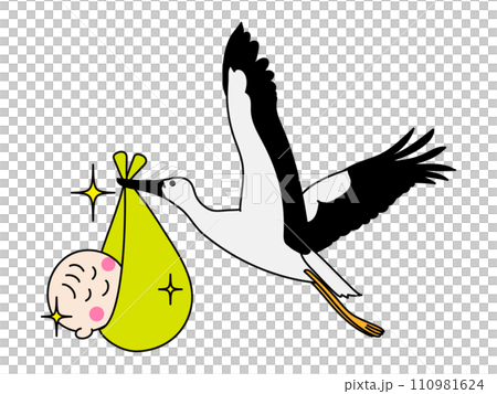 赤ちゃんを運ぶコウノトリ 110981624