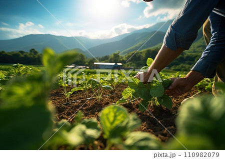 AI-generated content. close-up of a farmer's hands holding freshly harvested vegetables Generative AI 110982079