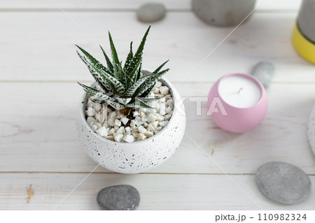 Succulents in a concrete pot on a white wooden table 110982324