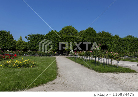 Rose Garden in Schoenbrunn Palace Park Rose Garden in Schoenbrunn Palace Park 110984478