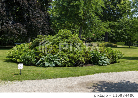 View of the Schoenbrunn Palace Park View of the Schoenbrunn Palace Park 110984480