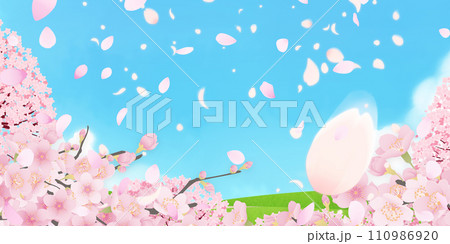 シンプルな満開の桜のイラスト シンプルな満開の桜のイラスト 110986920