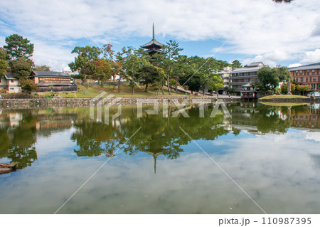 南都八景　猿沢の池から望む興福寺五重塔 110987395