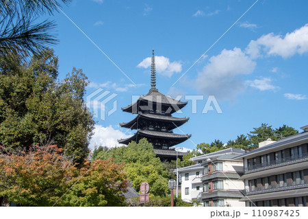 南都八景 猿沢の池から望む興福寺五重塔 南都八景 猿沢の池から望む興福寺五重塔 110987425