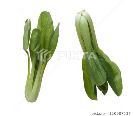 Kale fly in mid air, green fresh vegetable chinese kale falling. Organic fresh vegetable with eaten leaf of chinese kale, heap close up texture. White background isolated freeze motion 110987537