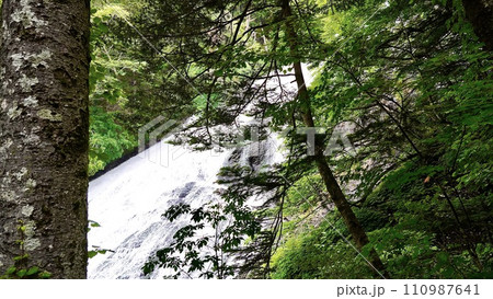 栃木県日光市の湯滝 栃木県日光市の湯滝 110987641