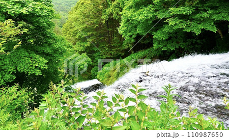 栃木県日光市の湯滝 110987650