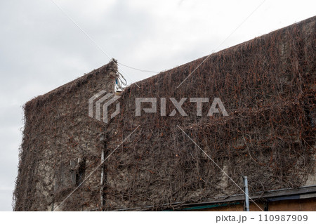 日本の兵庫県加古川市の古くてとても美しい建物 110987909