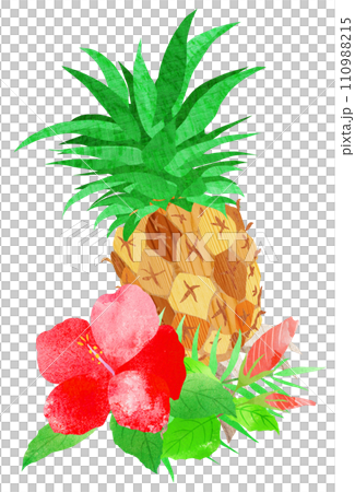 Tropical fruits and flowers set 110988215