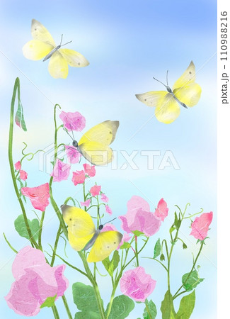 春の花スイトピーと蝶の水彩画風イラスト 110988216