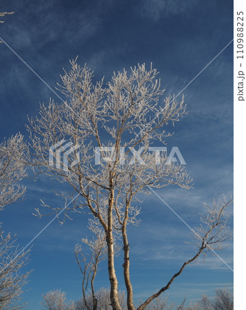 霧氷と青空1 110988225
