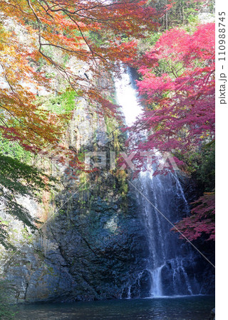 紅葉シーズンの箕面大滝-3 紅葉シーズンの箕面大滝-3 110988745